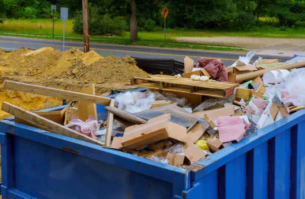 Best Basement Cleanout  in Colquitt, GA